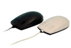 Souris